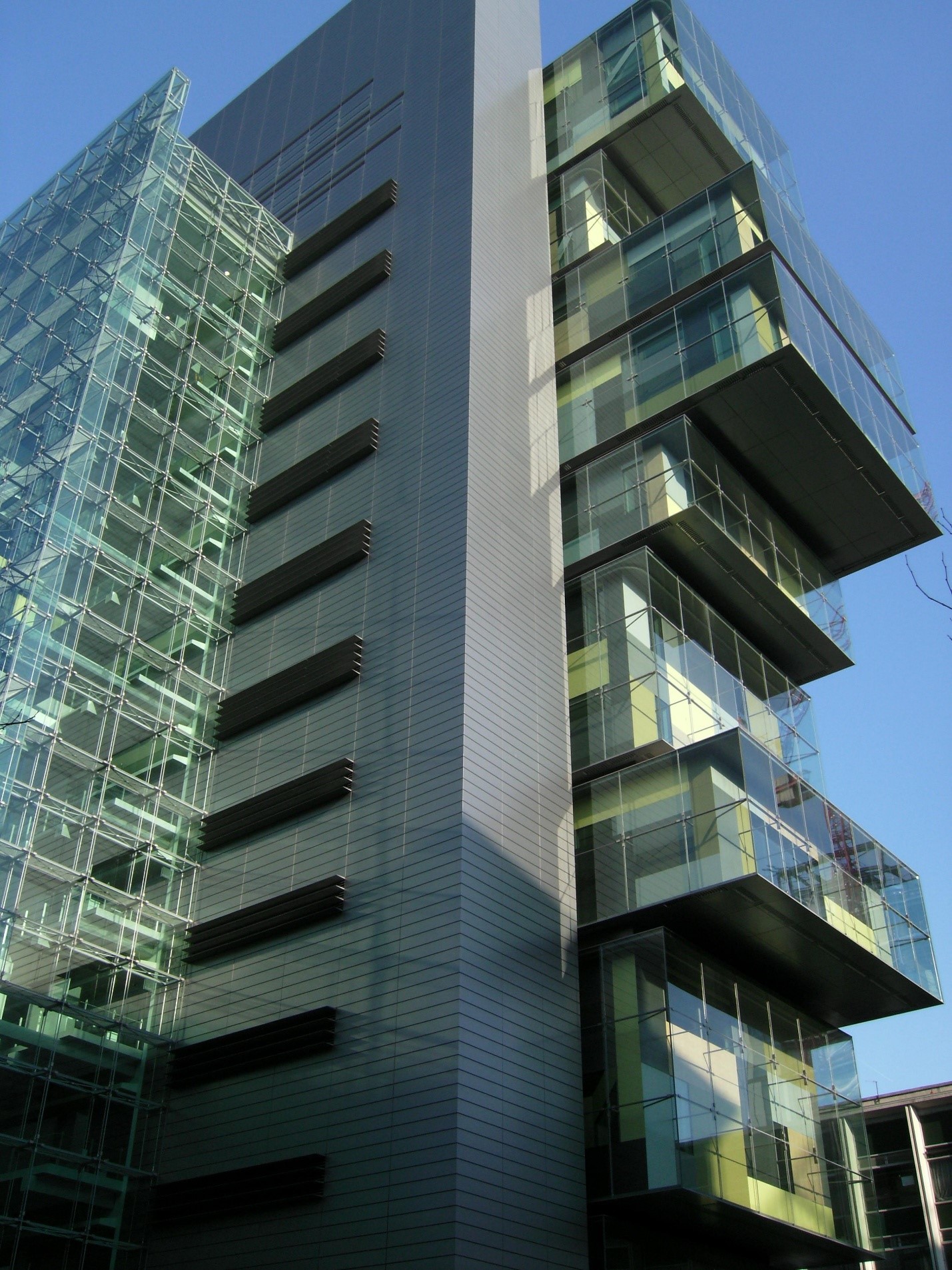 کارشناس رسمی دادگستری